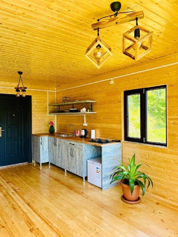 Paradise Inn Gegelidzeebi Ngoại thất bức ảnh